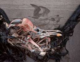 image: Ende einer Reise